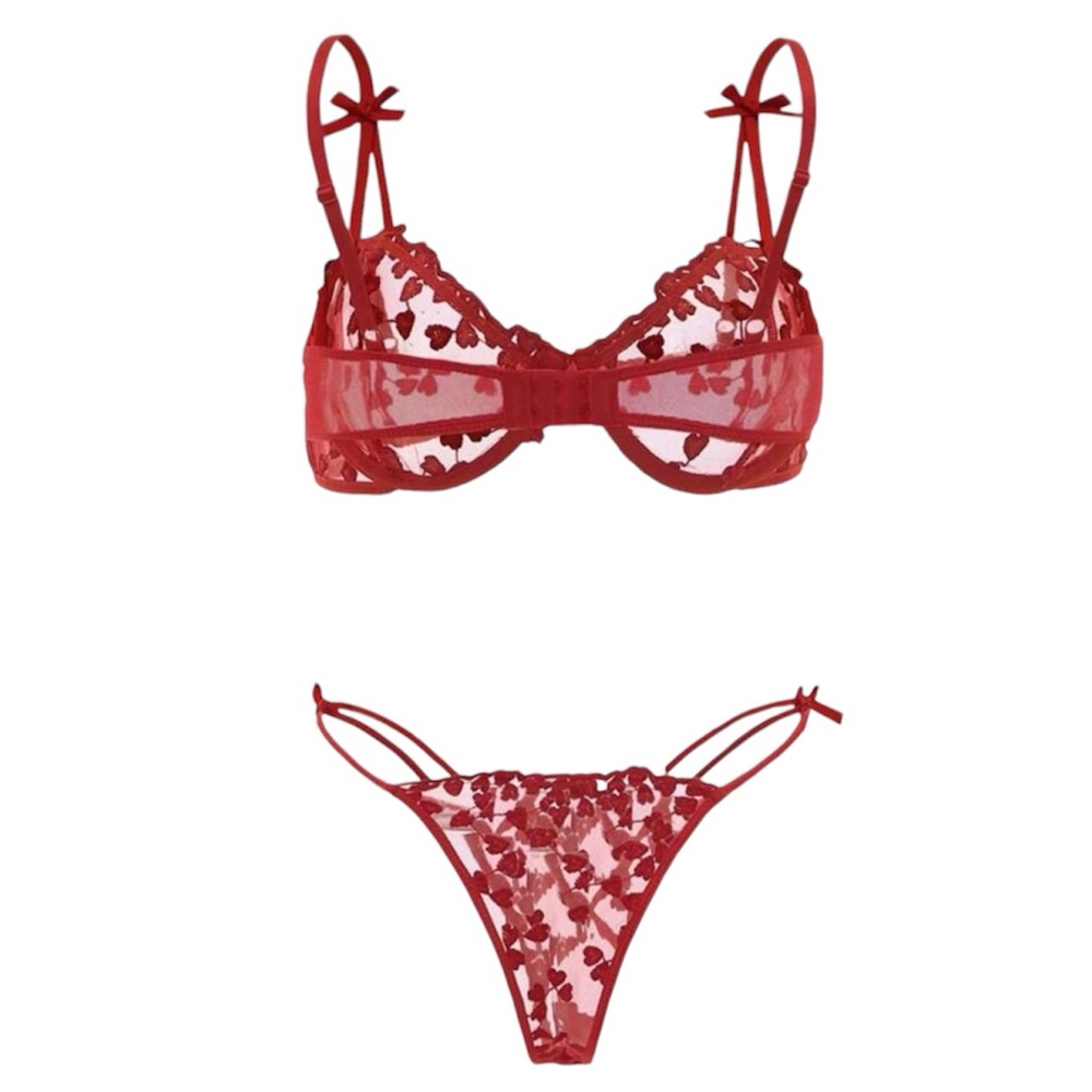 Embroidered Mesh Underwire Lingerie Set - Picture 3 of 7